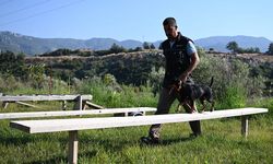 Aydın'da yetiştirdiği kurtarma köpekleriyle birçok hayat kurtardı