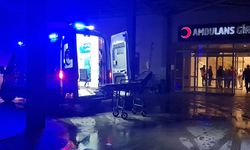 Aydın'da minibüs tarlaya uçtu: Ölü ve yaralılar var