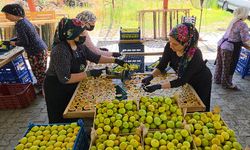 Aydın'dan dünyaya yayılan lezzet: İncir Cipsi
