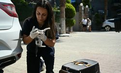 Kuşadası’nda can dostların hayatı Haybulans’a emanet