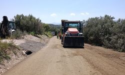 Aydın’ın 17 ilçesinde yol çalışmaları sürüyor
