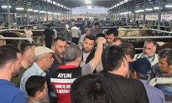 Aydın’da hayvan pazarlarında sıkı denetim