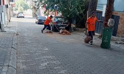 Başkan Yetişkin’le Efeler’de temizlik çalışmaları aralıksız sürüyor