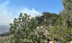 Germencik'te orman yangını:  Havadan ve karadan müdahale edildi