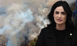 Sarıbaş: Devletimizin tüm imkanları seferber edildi