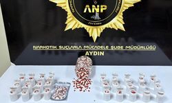 Aydın'da zehir taciri yakayı ele verdi