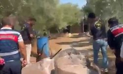 Aydın’da zehir tacirlerine 100 milyon TL’lik darbe