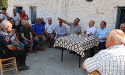 Vali Varol: Yanan alanlar en kısa sürede yeniden yeşillendirilecek
