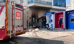 Aydın’da korkutan yangın