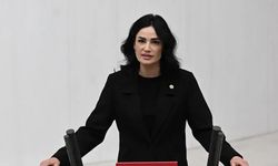 Sarıbaş: Milli iradeye sahip çıkmak, Menderes’in hatırasına sahip çıkmaktır