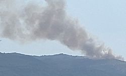 Çine’de orman yangını