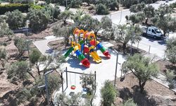 Didim’de Zeytin Park Projesi’nde sona gelindi