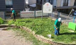 Efeler Belediyesi parklarda bakım çalışmalarını sürdürüyor