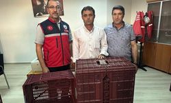 Köşk'te İncir Üreticilerine Hibeli Kasa Desteği