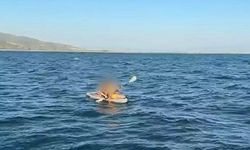 Aydın'da Kürek Sörfü Yapan 2 Kişi Denizde Mahsur Kaldı: Sahil Güvenlik Zamanla Yarıştı