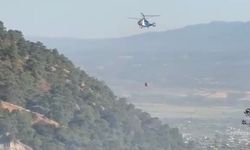 Kuyucak’ta Zeytinlik Alanda Çıkan Yangın Söndürüldü