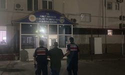 Kuyucak'ta Ormanlık Alanda Kenevir Yetiştiren Şüpheli Suçüstü Yakalandı