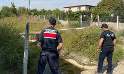 Aydın’da yaşlı kadın her yerde aranıyor
