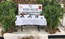 Ormanlık alanda kenevir operasyonu