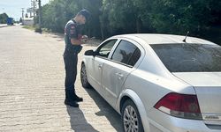 Aydın'da 'Çember-141' operasyonu