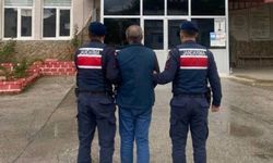 Aydın’da kaçak silah operasyonu
