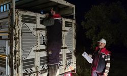 Aydın’da hayvan pazarlarında sıkı denetim