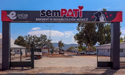 Efeler Belediyesi'nin projesi açılış için gün sayıyor