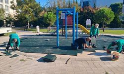 Efeler’de park ve yeşil alanlar bakıma alındı
