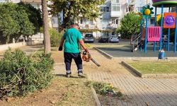 Efeler Belediyesi’nden yeşil alanlara bakım