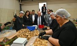 Aydın’da 'İncir Konseyi' kuruluyor