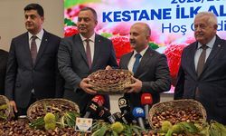 Aydın’da kestane ilk alım töreni gerçekleştirildi