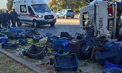 Mandalina yüklü kamyonet devrildi
