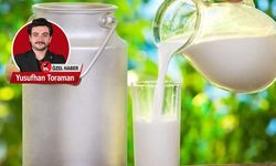Aydınlı üreticinin gözü kulağı Ulusal Süt Konseyi'nde