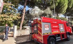 Aydın’da korkutan yangın
