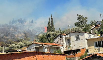 Aydın'da zeytinlik ve çam ağaçlarının bulunduğu alanda korkutan yangın