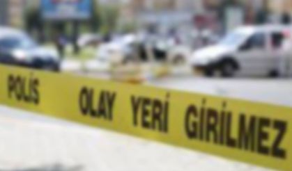 Hayvan damında canına kıydı