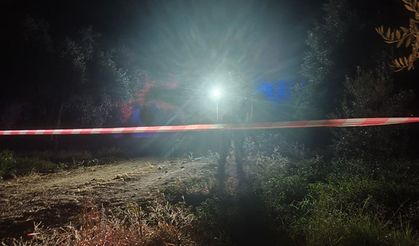 Aydın’da belediye personeli tarlada ölü bulundu