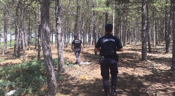 Orman yasaklarını ihlal eden 28 kişiye ceza uygulandı