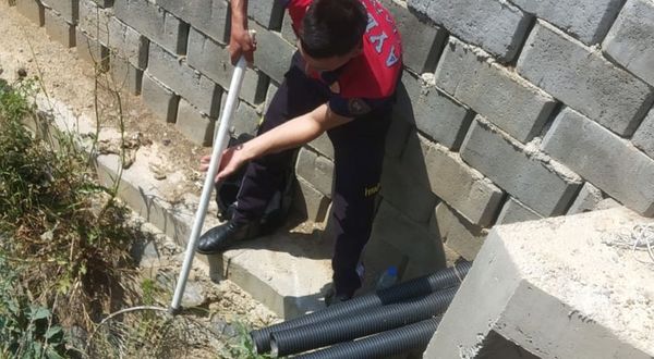 Aydın’da köpeği kurtarmak isteyen çocuk kanala atladı