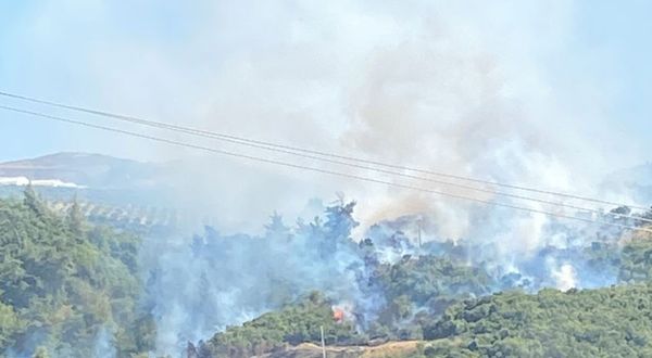 Flaş haber: Söke’de orman yangını
