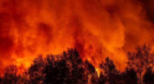 Aydın İmamköy’de korkutan yangın