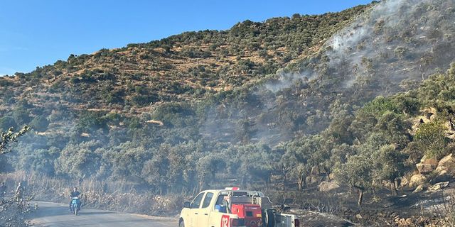 Aydın'da korkutan yangın: Müdahale sürüyor
