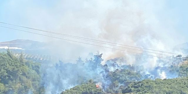 Flaş haber: Söke’de orman yangını