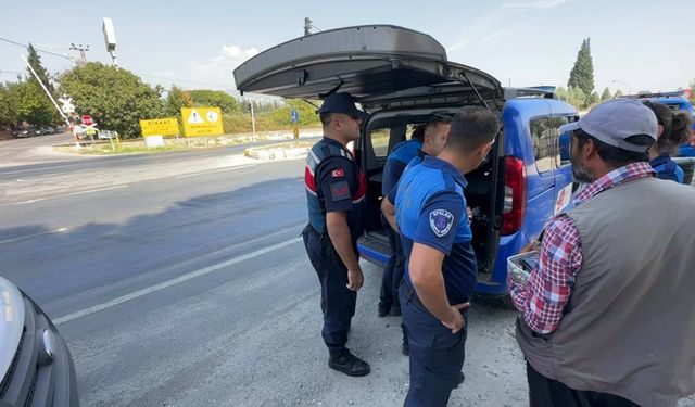 Aydın’da jandarmadan dilenci operasyonu