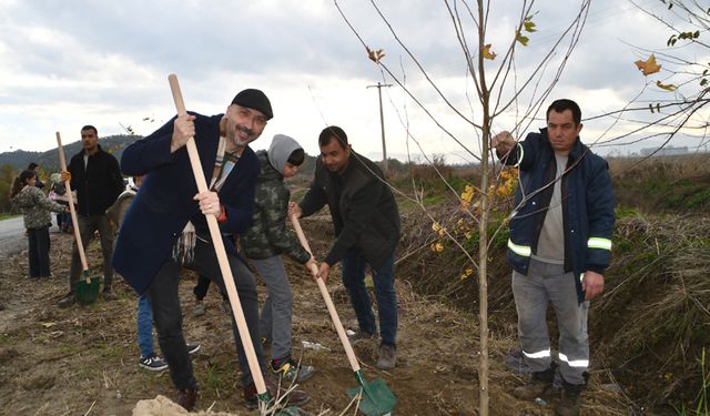 Söke’nin doğal fotoğraf stüdyosu eski günlerine dönecek