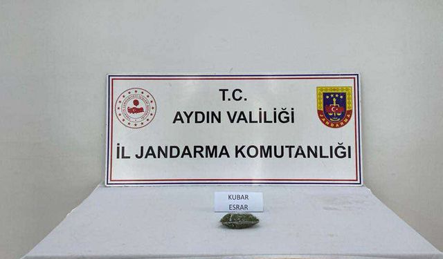 Aydın’ın 2 ilçesinde uyuşturucu operasyonu