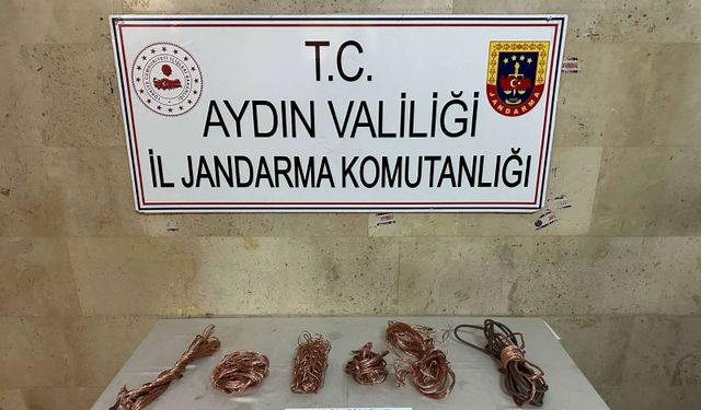 Aydın'da 3 hırsız tutuklandı