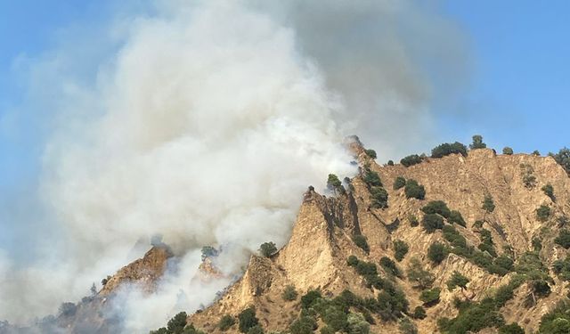 Bir yangın da Nazilli’de