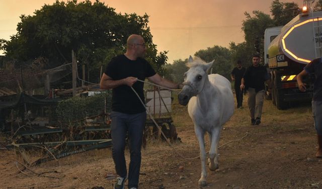 Başkan Zencirci’den yangın bölgelerinde gece mesaisi