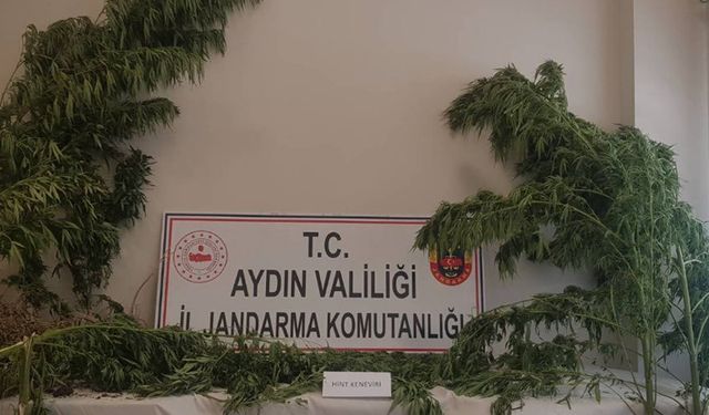 Aydın’ın 2 ilçesinde uyuşturucu operasyonu